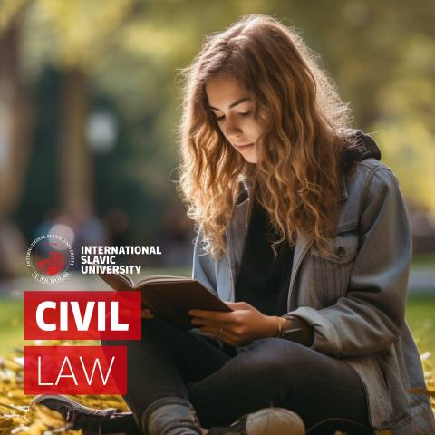 civil-law-masters-msu