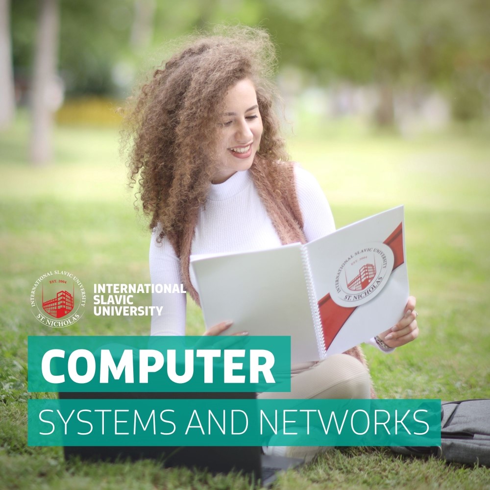 computer-systems-and-networks-1 (Custom)