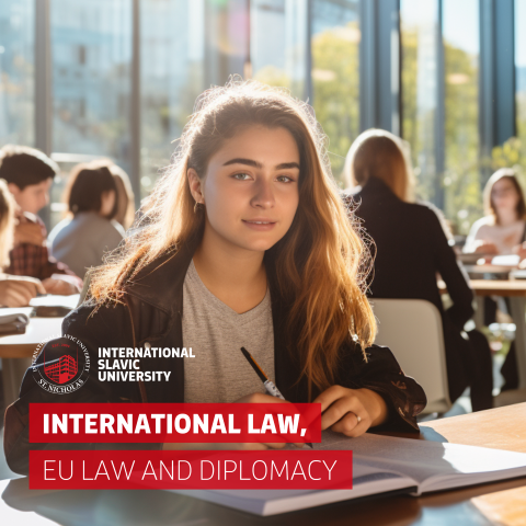 international-law-eu-law-and-diplomacy-masters-msu